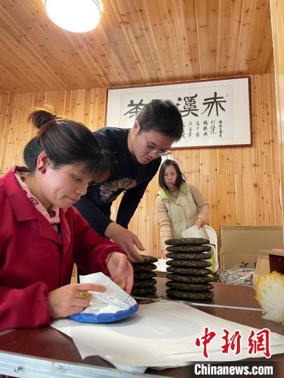 資料圖：杜贏(左二)在整理白茶餅?！×执阂?攝